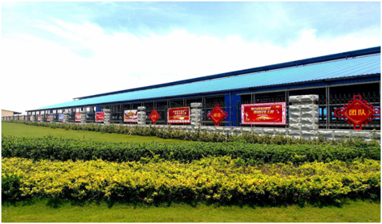 “ 看聽(tīng)談查 ”板 找短板  黨建巡查促提升——花花牛集團(tuán)黨委開(kāi)展基層黨建工作巡查