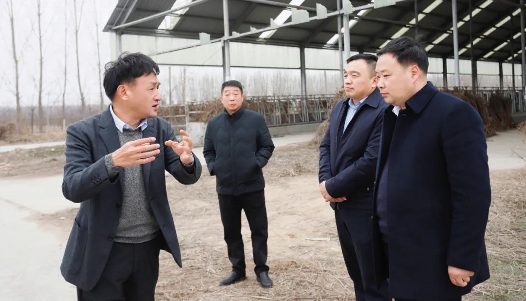 發(fā)揮產(chǎn)業(yè)優(yōu)勢 助力鄉(xiāng)村振興 | 民權縣委副書記、縣長王靜嫻會見關曉彥董事長一行