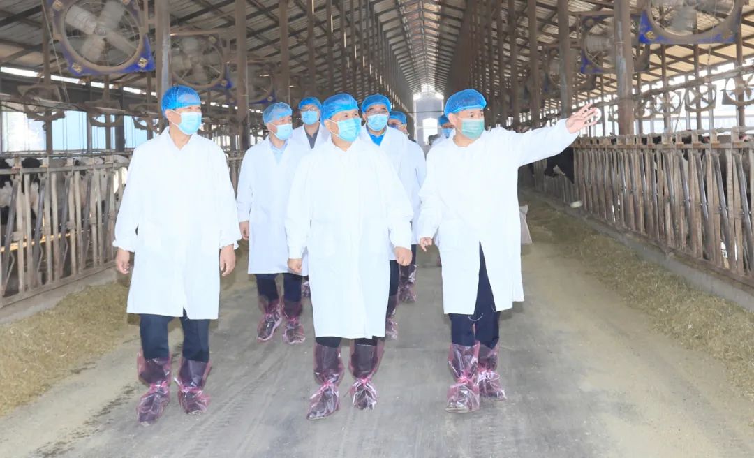 快訊丨河南省人民政府副省長武國定蒞臨花花牛乳業(yè)集團瑞亞牧業(yè)調研奶源基地建設情況 快訊丨河南省人民政府副省長武國定蒞臨花花牛乳業(yè)集團瑞亞牧業(yè)調研奶源基地建設情況