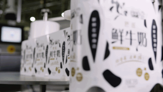 快訊 | 長江商學院智能制造學會走進花花牛乳業(yè)集團 快訊 | 長江商學院智能制造學會走進花花牛乳業(yè)集團