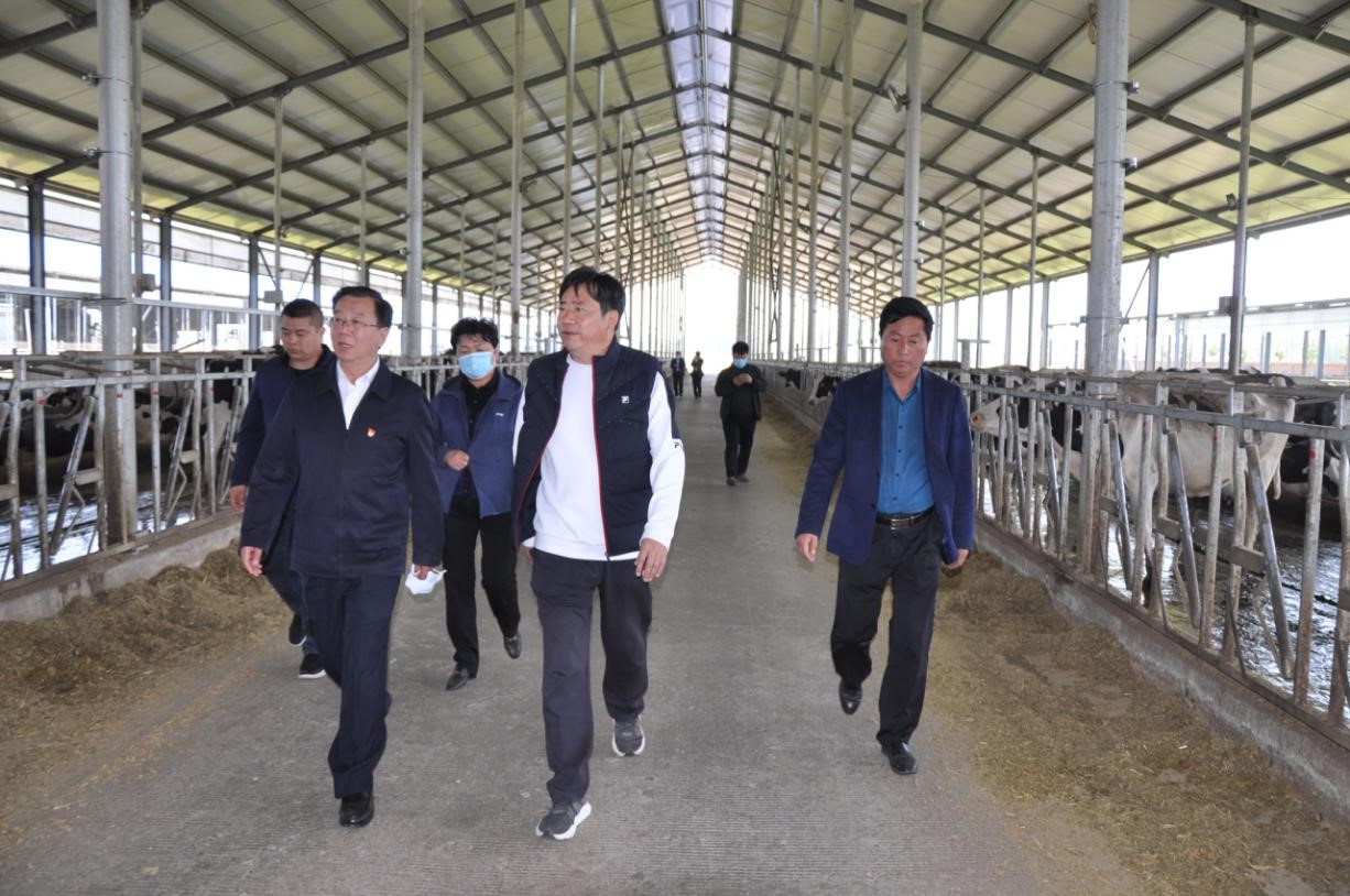 商丘市委常委、宣傳部部長王全周一行蒞臨睢縣瑞亞牧業(yè)有限公司調(diào)研