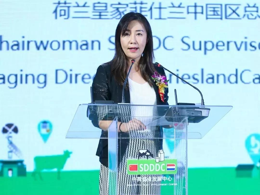 SDDDC走進(jìn)河南，看看花花牛的國際范兒！