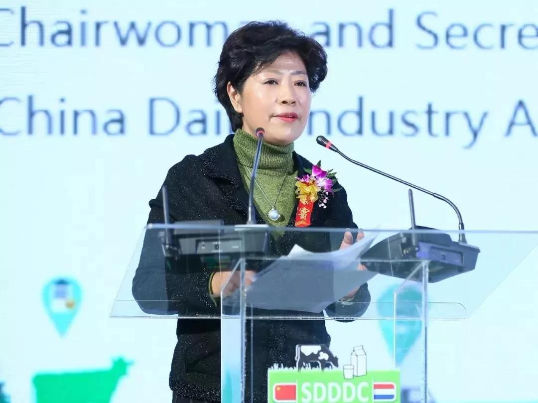 SDDDC走進(jìn)河南，看看花花牛的國際范兒！