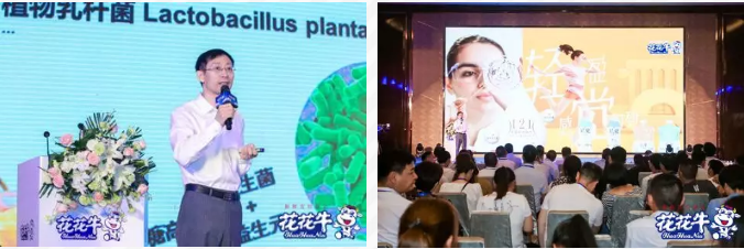 花花牛輕覺(jué)上市暨優(yōu)質(zhì)乳工程認(rèn)證發(fā)布會(huì)，盛大啟幕！