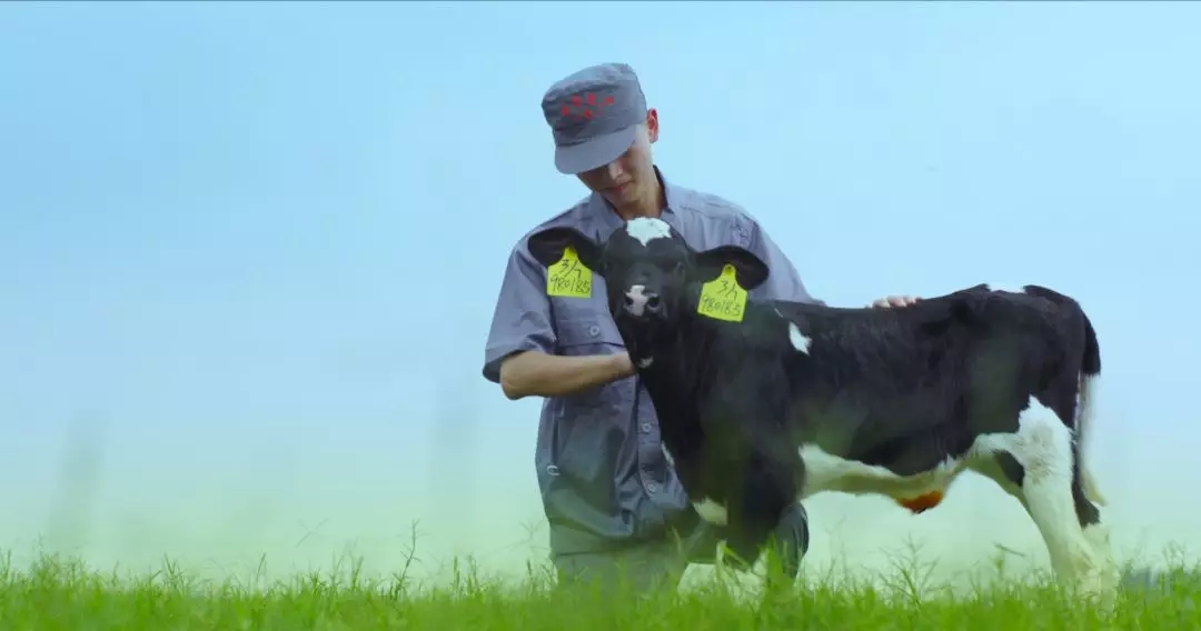 喜報(bào) | 國家市場(chǎng)監(jiān)管總局抽檢，花花牛等112家企業(yè)乳品抽檢全部合格