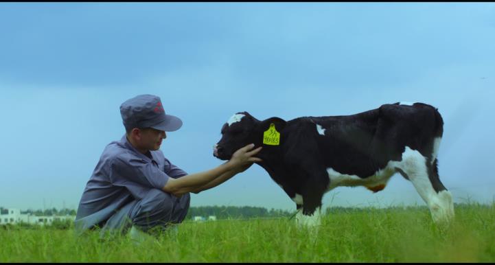 又雙叒叕獲獎啦！花花牛榮獲“乳品質量安全管理 優(yōu)秀企業(yè)”