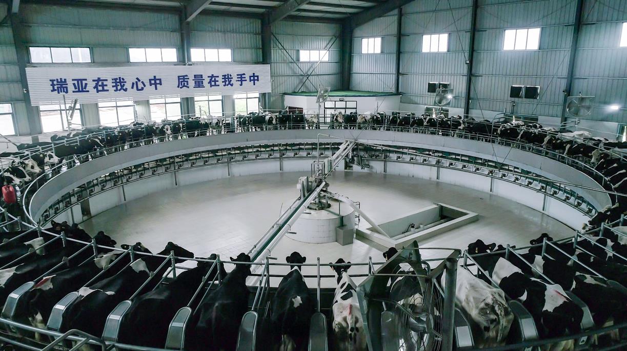 又雙叒叕獲獎啦！花花牛榮獲“乳品質量安全管理 優(yōu)秀企業(yè)”