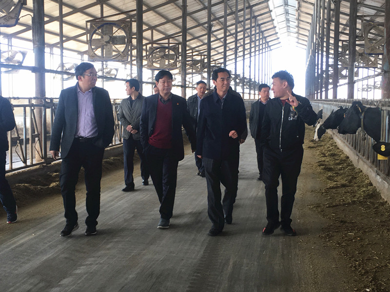 封丘縣縣長王獻臣一行蒞臨 花花牛集團養(yǎng)殖、乳品事業(yè)部參觀調研