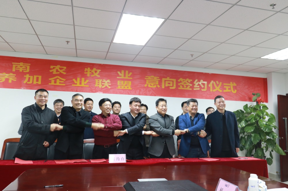 涉農(nóng)企業(yè)強(qiáng)強(qiáng)聯(lián)合，“抱團(tuán)取暖”共迎企業(yè)發(fā)展的春天