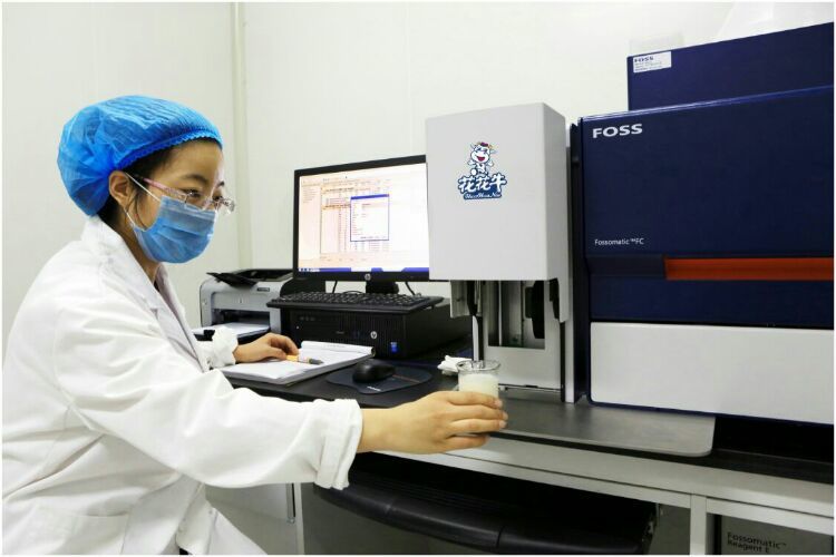 花花牛：務(wù)實、創(chuàng)新領(lǐng)潮市場 大企業(yè)體現(xiàn)大擔當