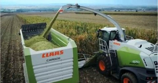 河南花花牛乳業(yè)集團(tuán)股份有限公司 2020年玉米青貯采購(gòu)信息