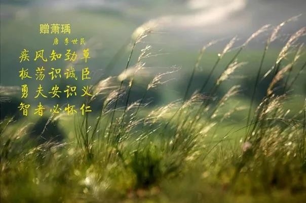 花花牛 | 疾風(fēng)來(lái)臨，你是不是勁草？