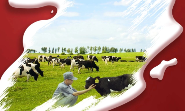 喜報(bào)！花花牛董事長(zhǎng)關(guān)曉彥再獲”優(yōu) 秀企業(yè)家”稱(chēng)號(hào)